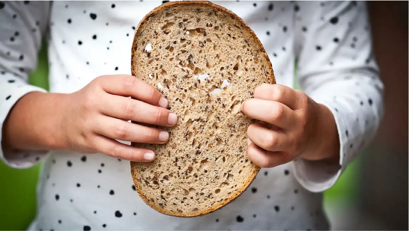 The hands of a small child holding onto a slice of bread.